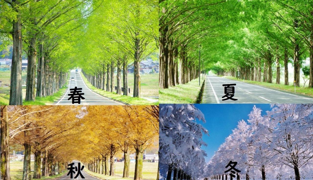 Roten Jacuzzi ・Morinoie In Metasequoia Namiki / Vacation Stay 3022 Takashima المظهر الخارجي الصورة